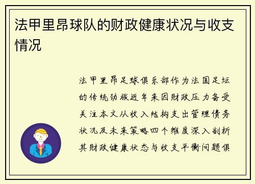 法甲里昂球队的财政健康状况与收支情况