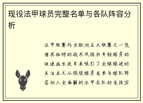 现役法甲球员完整名单与各队阵容分析